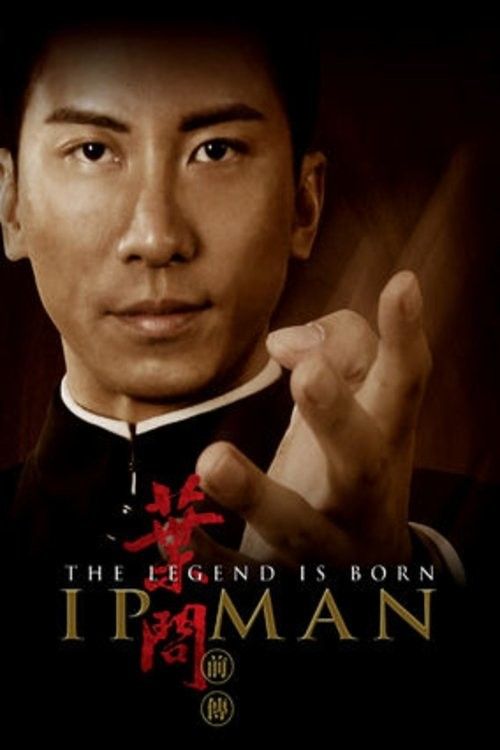 The Legend Is Born Ip Man (2010) Hindi Dubbed Movie download full movie